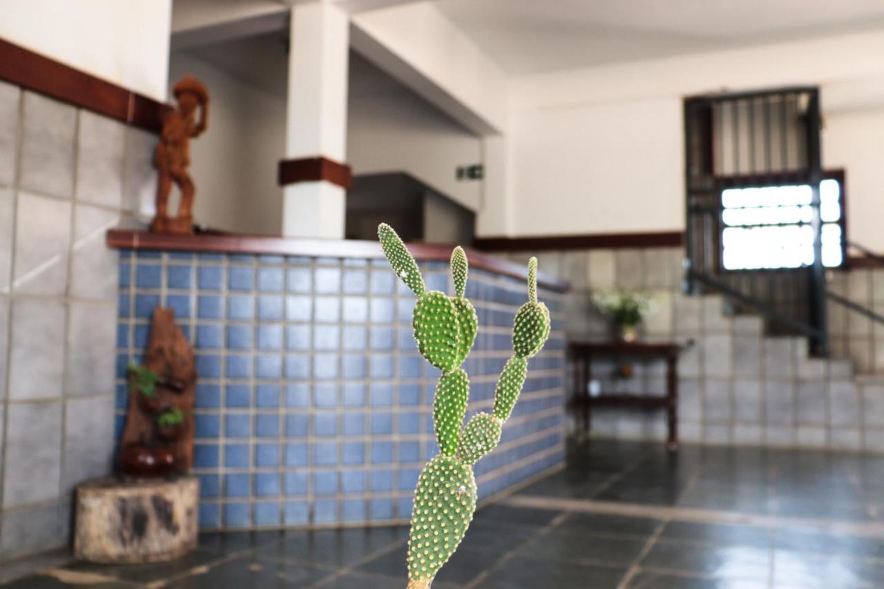 Hotel Estalagem Sertaneja ブルマード エクステリア 写真